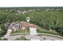Aerial view of a lovely single-Gathering home with mature trees, lush landscaping, and a long driveway at 11029 Lynn Lake Cir, Tampa, FL 33625