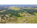 The aerial shot showcases a blend of dense trees, open fields, and a meticulously planted grove near the property at 14409 Curley Rd, Dade City, FL 33525