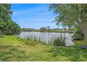Scenic lakefront view showcasing lush greenery, blue skies, and tranquil waters at 6520 Meadowbrook Ln, New Port Richey, FL 34653