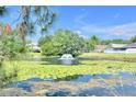 Scenic pond with a fountain, surrounded by lush greenery and lily pads at 7855 Bristol Park Dr., Apollo Beach, FL 33572
