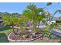 Lush front yard featuring palm trees, colorful flowers, and decorative garden elements at 8916 Southbay Dr, Tampa, FL 33615