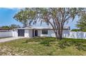 Charming single-story home featuring a well-manicured lawn, a modern garage door, and a freshly painted exterior at 10006 N Connechusett Rd, Tampa, FL 33617
