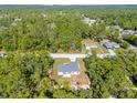 Expansive aerial view shows a home nestled among tall trees in a serene, wooded setting at 16247 Little Auk Rd, Weeki Wachee, FL 34614