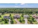 Aerial view of a neighborhood showcasing lush greenery, a pond and several well-maintained homes at 17724 Daisy Farm Dr, Lutz, FL 33559