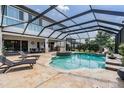 Enclosed pool area with a slide, spa, and lounge chairs, offering a luxurious outdoor experience at 17724 Daisy Farm Dr, Lutz, FL 33559