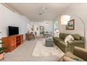 Cozy living room featuring a comfortable sofa, soft rug, and modern entertainment center at 19137 Lake Audubon Dr, Tampa, FL 33647
