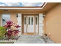 Close up of home's front door entrance with sidelights and decorative plants at 14564 110Th Ter, Largo, FL 33774