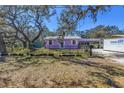 Charming light purple single-story home with mature tree and black chain link fence at 5010 109Th N Way, St Petersburg, FL 33708