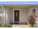 Inviting front porch with a decorative wood door, complemented by lush plants and a brick walkway at 6303 Gentle Ben Cir, Wesley Chapel, FL 33544