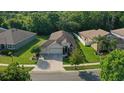 An aerial view of a lovely home showcasing its manicured lawn and serene neighborhood setting at 6555 Sparkling Way, Wesley Chapel, FL 33545