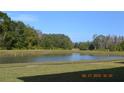 Scenic view of a serene pond surrounded by lush greenery, offering a tranquil escape at 20420 Carolina Cherry Ct, Tampa, FL 33647
