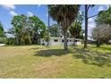 Spacious backyard with lush lawn and mature trees offering plenty of privacy at 695 Sunset Dr, Tarpon Springs, FL 34689