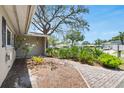 Brick walkway to front door bordered by garden with attractive landscaping at 1739 Woodridge Dr, Clearwater, FL 33756