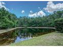 Scenic view of pond surrounded by lush greenery and a clear blue sky at 3910 Saywood Ct, Palm Harbor, FL 34685