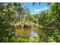 A serene view of a small pond surrounded by lush trees and greenery, offering a peaceful natural setting at 4419 Longshore Dr, Land O Lakes, FL 34639