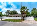 Cozy single-story home with manicured lawn, brick driveway, fenced yard and a palm tree in the front at 6423 Boxwood St, Brooksville, FL 34602