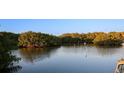 Scenic view of the waterway surrounded by mangroves, perfect for nature enthusiasts at 800 Cove Cay Dr # 4F, Clearwater, FL 33760