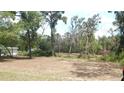 View of treed property grounds; a quaint house is visible in the distance at 5287 Azalea Cir, Dade City, FL 33523