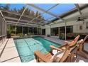 Inviting screened-in pool area with lounge chairs, plants, and seating, perfect for relaxation and entertainment at 60 Lakeview Ct, Palm Harbor, FL 34683