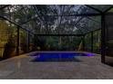Tranquil, enclosed pool with landscape views, perfect for evening swims and relaxation at 11606 Quiet Forest Dr, Tampa, FL 33635