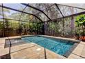 Inviting screened-in pool area with tiled decking and tropical greenery at 11606 Quiet Forest Dr, Tampa, FL 33635