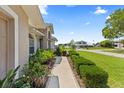 Landscaped front yard featuring lush greenery, a sidewalk, and curb appeal at 22852 Fern Ct, Land O Lakes, FL 34639