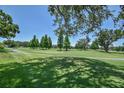 Scenic golf course view with lush green fairway, mature trees, and clear blue sky at 2517 Bucknell Dr, Valrico, FL 33596