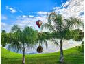 Scenic backyard view of a colorful hot air balloon and pond framed by palm trees on a sunny day at 31747 Loch Aline Dr, Wesley Chapel, FL 33545