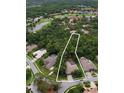 Aerial view of home featuring mature trees, screened in pool, and access to golf course and waterfront at 4962 Turtle Creek Trl, Oldsmar, FL 34677
