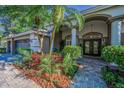 Welcoming front entrance featuring lush landscaping and a stunning double-door entryway with elegant architectural detailing at 4962 Turtle Creek Trl, Oldsmar, FL 34677