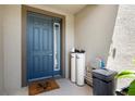Inviting covered front porch featuring a blue door and water treatment system at 12353 Bayou Flats Ln, Tampa, FL 33635