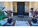 Inviting front entrance featuring a modern black door, sidelights, and stylish landscaping at 1775 62Nd S Ter, St Petersburg, FL 33712