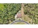 Bird's eye view of a residence with a pool surrounded by mature trees, providing a sense of tranquility and seclusion at 27338 Elkwood Cir, Wesley Chapel, FL 33544