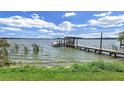 Picturesque lake view with a private wooden dock extending into the calm waters of Lake Thonotosassa at 11337 Knights Griffin Rd, Thonotosassa, FL 33592