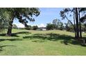 Expansive backyard featuring lush green grass and mature trees, ideal for outdoor activities and enjoying nature at 12808 Killarney Ct, Odessa, FL 33556