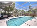 Sparkling screened-in pool surrounded by comfortable seating and lush landscaping at 1603 Scotch Pine Dr, Brandon, FL 33511