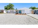Charming one-story home with minimalist landscaping and a pop of color with its front door at 3401 Truman Dr, Holiday, FL 34691