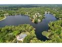 Stunning aerial view of a lakeside property with lush greenery, expansive lake access, and a serene residential setting at 5720 Half Moon Lake Rd, Tampa, FL 33625