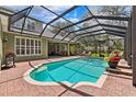 Backyard pool features screened enclosure, brick pool deck, and an outdoor grilling station at 16039 Ternglade Dr, Lithia, FL 33547