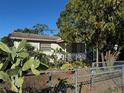 A single story home with a small porch partially obscured by a large tree and chain link fence at 3311 W Saint Conrad St, Tampa, FL 33607