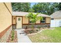 Inviting front entrance with a small palm tree, stone accents, and manicured landscaping at 3072 Sugar Bear Trl, Palm Harbor, FL 34684