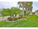 Landscaped yard with tropical plants and lush green grass at 4830 Grand Banks Dr, Wimauma, FL 33598