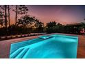 Inviting swimming pool and spa nestled among lush greenery and bathed in the warm hues of the setting sun at 14806 Harry Colt Ct, Tampa, FL 33626