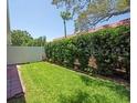 Well-maintained backyard featuring lush greenery and privacy fence at 1528 Highland Park Dr, Clearwater, FL 33756