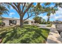 Lush backyard featuring a patio with outdoor seating, a private pool, and a scenic canal view at 2084 Massachusetts Ne Ave, St Petersburg, FL 33703