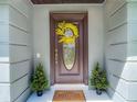 Inviting front door with decorative wreath and side shrubbery, offering a warm welcome at 1014 Sylvia Ln, Tampa, FL 33613