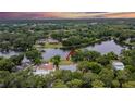 An aerial view showcases the property with lake access, nestled among lush greenery and serene surroundings at 16112 N 15Th St, Lutz, FL 33549