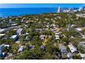 Beautiful aerial view of a neighborhood with mature trees near the water, showcasing the property's location at 1805 W Jetton Ave, Tampa, FL 33606