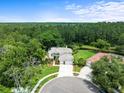 An elevated view of the property showcasing its manicured lawn, three-car garage, mature trees, and a serene wooded backdrop at 6127 Cezanne Ave, Lutz, FL 33558