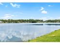 Scenic lake view showcasing the waterfront homes along the shoreline under a blue sky at 9721 Fredericksburg Rd, Tampa, FL 33635